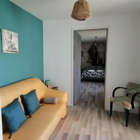 Jungle Zen Beau T2 Avec Jardin Gare 100M Appartement Tonneins Buitenkant foto