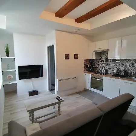 Jungle Zen Beau T2 Avec Jardin Gare 100M Appartement Tonneins Buitenkant foto