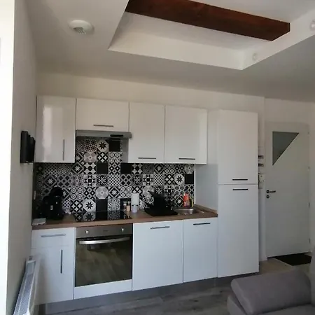 Jungle Zen Beau T2 Avec Jardin Gare 100M Appartement Tonneins Buitenkant foto