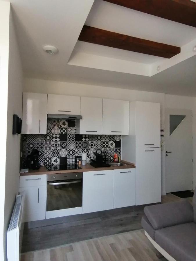 Appartement Jungle Zen Beau T2 Avec Jardin Gare 100m Tonneins