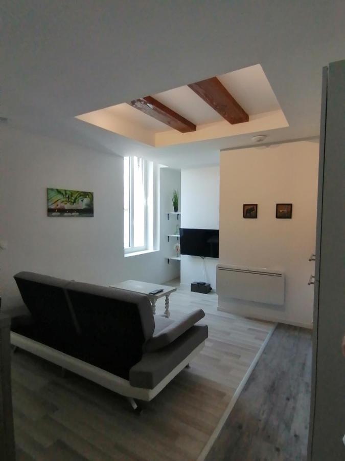 Jungle Zen Beau T2 Avec Jardin Gare 100m Appartement Tonneins