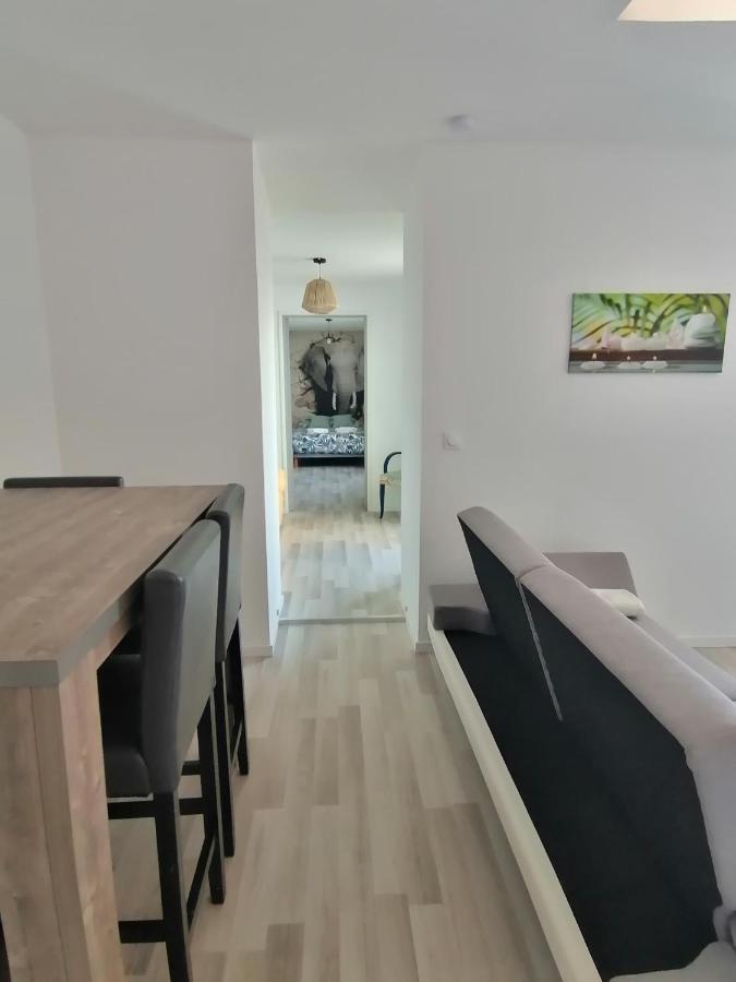 Jungle Zen Beau T2 Avec Jardin Gare 100m Tonneins